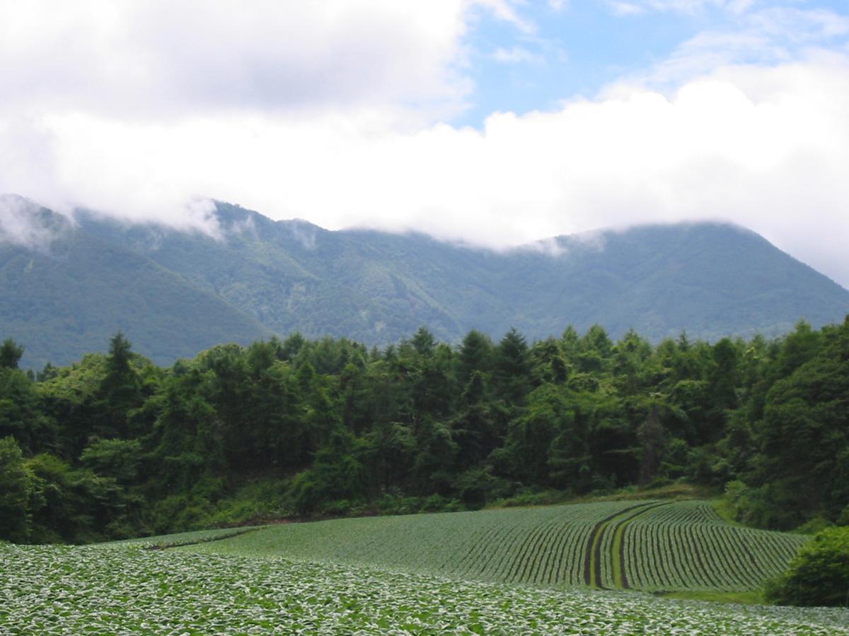 Le Grand Kyu Karuizawa Hotel Eksteriør billede