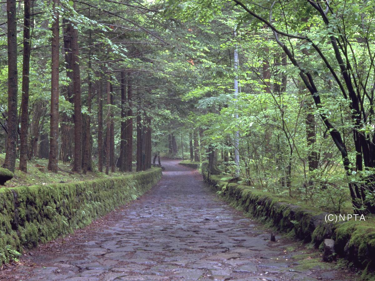 Le Grand Kyu Karuizawa Hotel Eksteriør billede