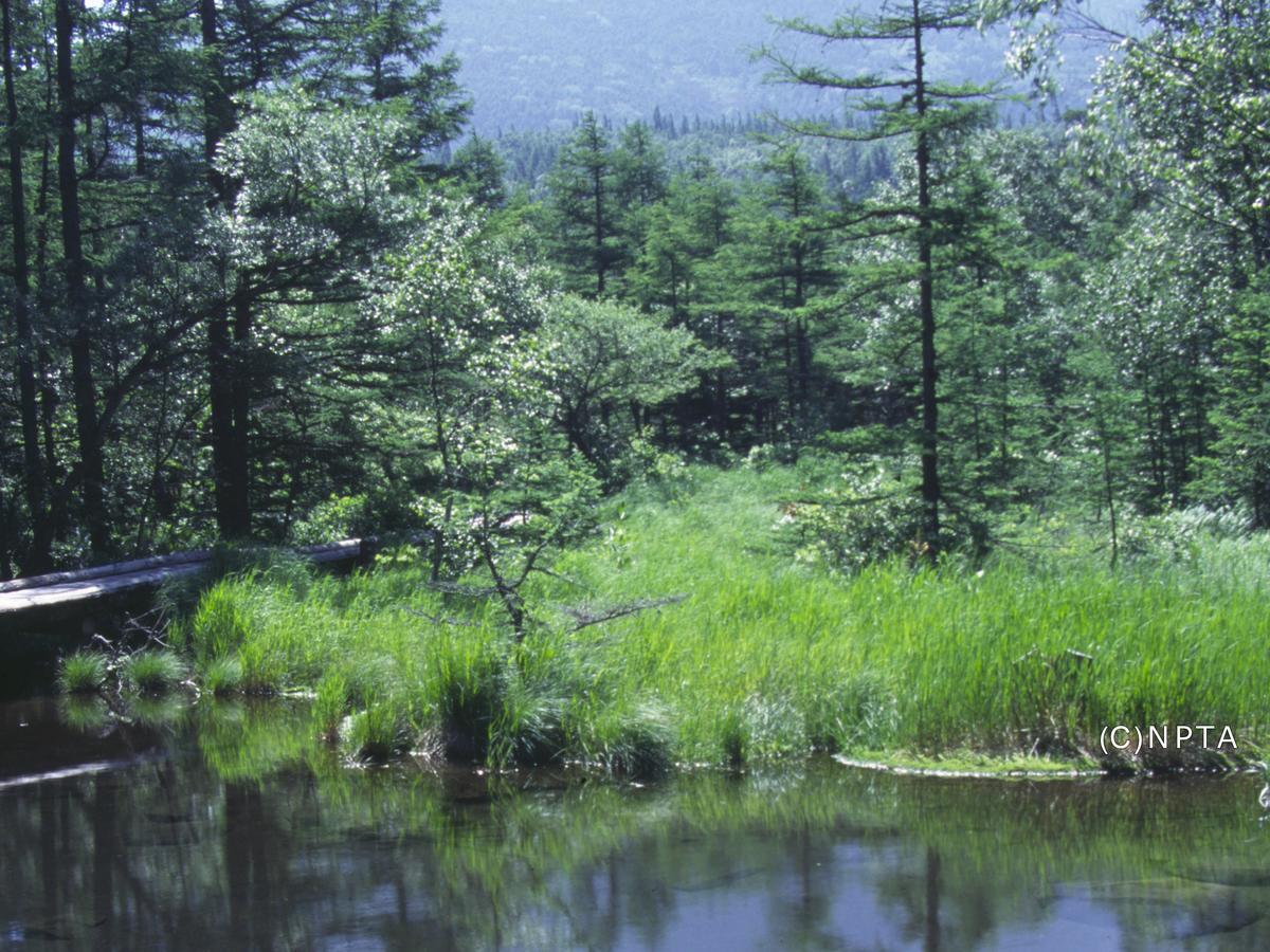 Le Grand Kyu Karuizawa Hotel Eksteriør billede
